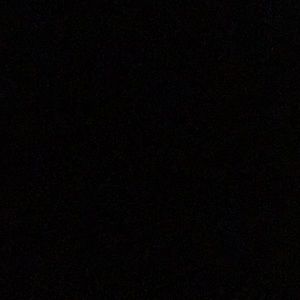 Meet your Posher, Gary